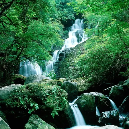 Ardree House Killarney