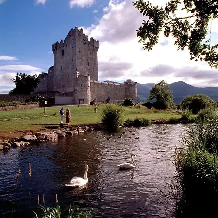 Bed & Breakfast Ardree House