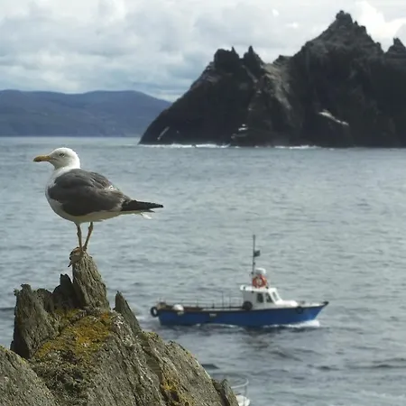 Bed & Breakfast Ardree House 4*