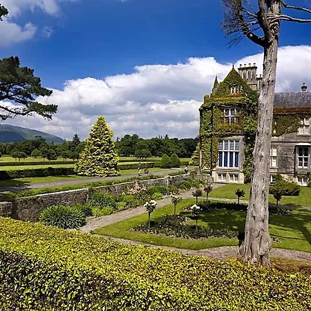 Bed & Breakfast Ardree House Killarney