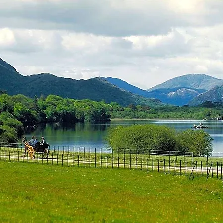 Bed & Breakfast Ardree House 4*