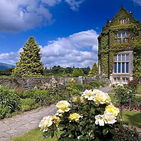 Ardree House Bed & Breakfast