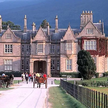 Bed & Breakfast Ardree House