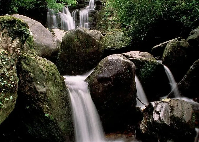 Ardree House Alojamento de Acomodação e Pequeno-almoço Killarney