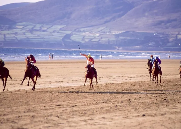 Frühstückspension Ardree House