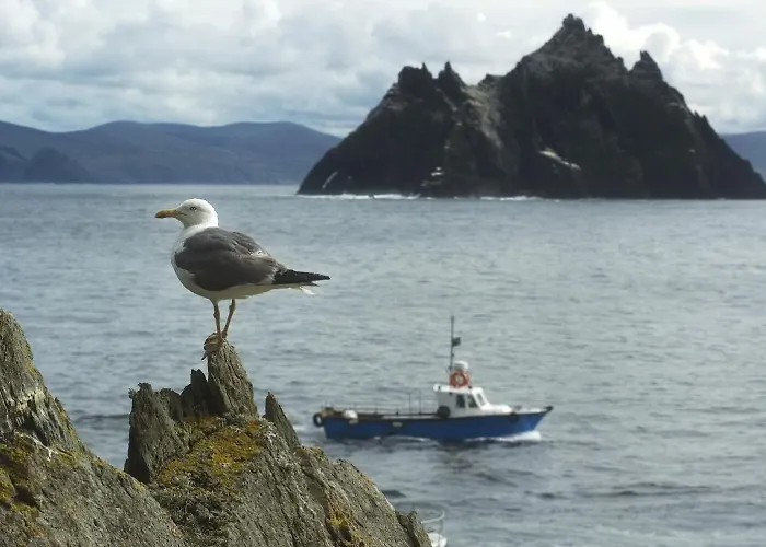 Frühstückspension Ardree House 4*