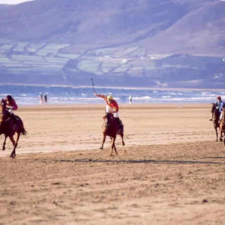 住宿加早餐酒店 阿德利屋住宿加早餐酒店