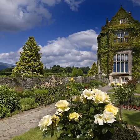 Ardree House Килларни