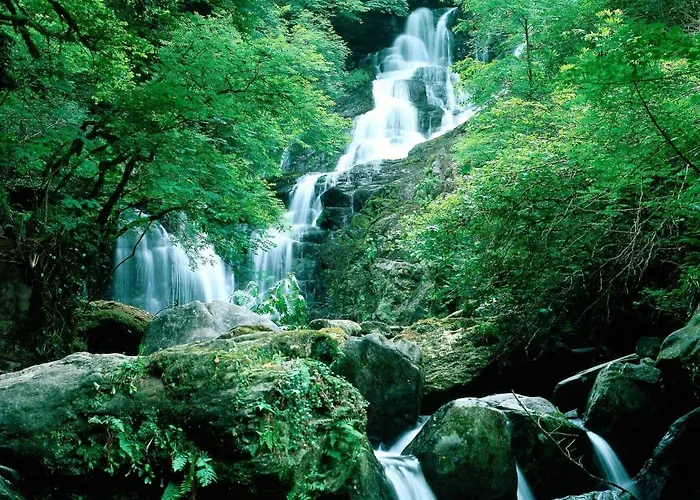 Ardree House Killarney